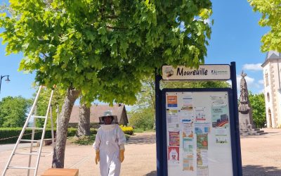 Travaux et aménagements : une dynamique collective en action